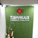 자몽 안경원 이미지