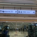 시아도아네 이미지