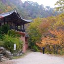 담곡 이미지