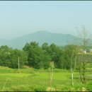 태정식품 이미지