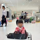 다올성인PC | 구로 대형키즈카페 월드킹 아기랑 방문후기