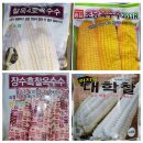 옥수수통신 Daum카페