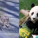 뉴 사거리 PC 이미지