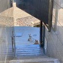 미타임하우스 이미지