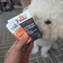 애니펫 | 강아지 냄새제거 고민 끝! 애니펫워터 사용 후기