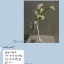 예일플라워 이미지