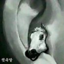 두리춤터(FOYER) 이미지