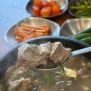 양산 갈비탕 아기랑 갈만한 고집센그집갈비탕 물금점