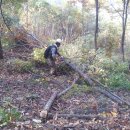 수만농장 이미지