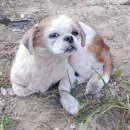 무학로-2 이미지