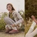 살롱드 오픈주 이미지