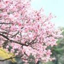 한학 이미지