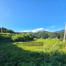 용문목장 이미지