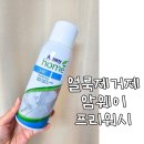 옷 얼룩 제거 뿌리기만 하면 끝나는 암웨이 프리워시 사용 후기