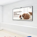 서울동물병원 앞 이미지