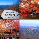 10/27[일]내장산 8봉 단풍종주 (100대 명산)-산행안내/좌석표 이미지