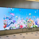 일대쇼핑 주식회사 이미지