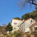 강릉 하이브로우 버거하우스, 하우스스튜디오 수제버거맛집 후기