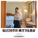 뽀야 | 임신28주차 증상, 뽀야베이비 태교 애착인형만들기 diy 후기