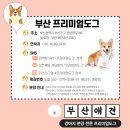 디엠할인마트 이미지