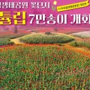 낙동강관리본부 화명생태공원 5 네이버블로그