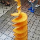 속초회오리감자 이미지