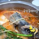 금암동태마을 티스토리