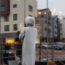 후드롱골 이미지