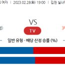 2월28일 여자배구 자료정보 이미지