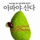 샤론 이미지