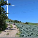 태백『매봉산』~바람의언덕과풍력발전단지 이미지