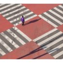 사진세상 - 성남시 중원구 금상로67번길 4 | 사진세상