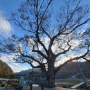 정선초등학교가수분교장 이미지