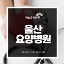 해솔요양병원