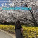 SK BROADBAND 개방화장실 | 인천 벚꽃 명소 sk인천석유화학 벚꽃동산 만개 실시간 후기