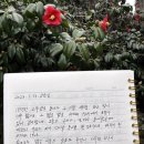 1924서까래