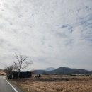 함안우리치과의원 네이버블로그