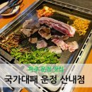 국가대패운정산내점