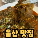 둥지터