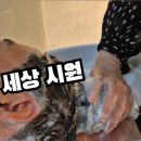 이미경헤어샵 - 화성시 | 이미경헤어샵