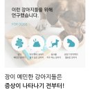 대영동물약국 이미지