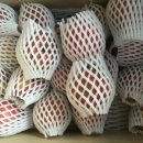 대성농장(3) 이미지