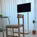 청산원목 | 내돈내산 우드띠어리 코르 원목 식탁 의자 구입 후기