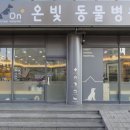 온빛동물병원 이미지
