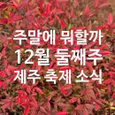 제주특별자치도 문예회관 소극장 | 주말에 뭐할까, 12월 둘째주 (12월13-14일) 제주 축제 소식
