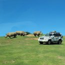 하모니민박 | 하는 일본 여행 아프리칸 사파리 돌고래 수족관 하모니랜드 유후인 마메다마치 여행계획 있다면, 마이...