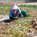 풍년축산 이미지