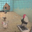 삼성마을6단지(아) 경로당 | 파주 아이랑 가볼만한곳 [우농 타조 농장] 서울 근교 승마체험 동물원 주말 나들이