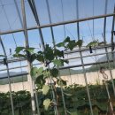 금현농장 이미지