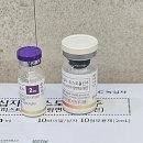 파랑새동물병원 | 금천 독산동 알레르기 히스토불린주사 후기와 체감 효과